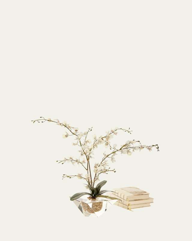 Marquis Orchid Arrangement